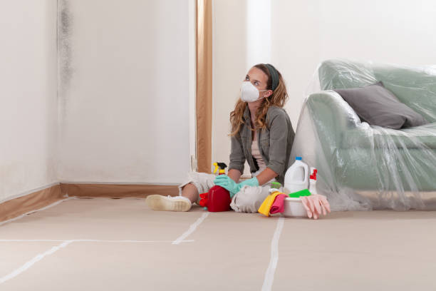 Reliable Mold Remediation contractor in Mendham, NJ by WQB Mold Removal